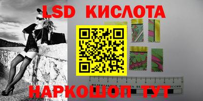 крисы Вышний Волочёк